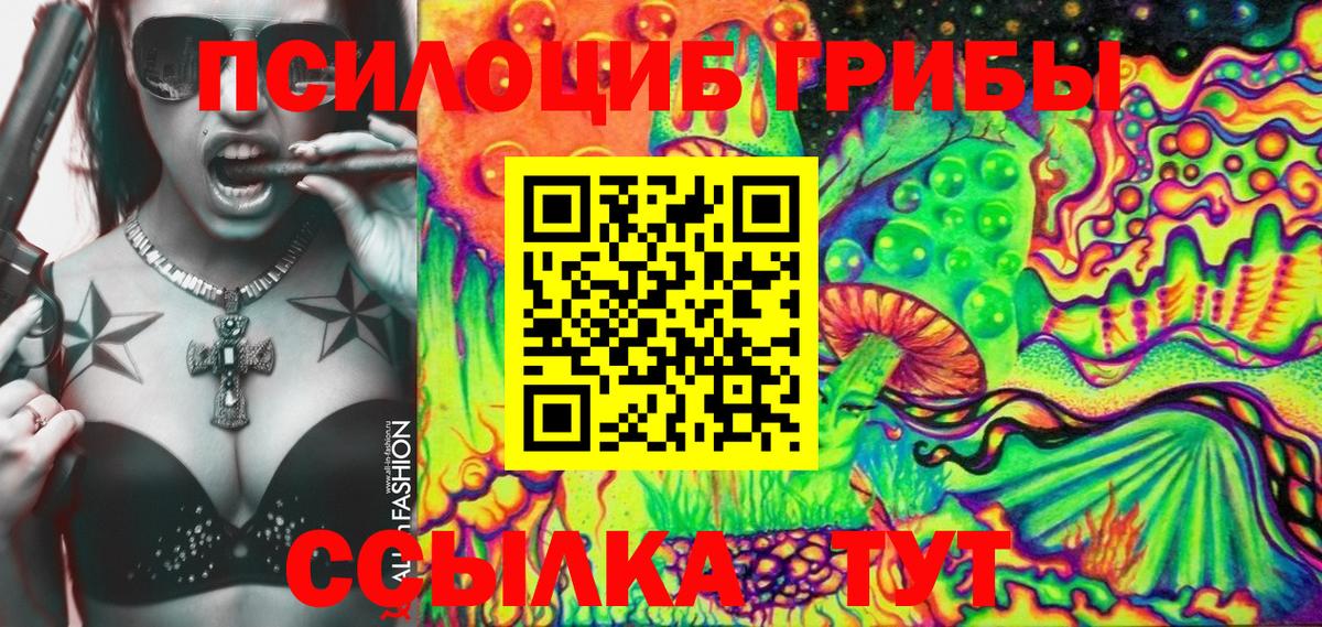 Псилоцибиновые грибы Psilocybine cubensis Трёхгорный