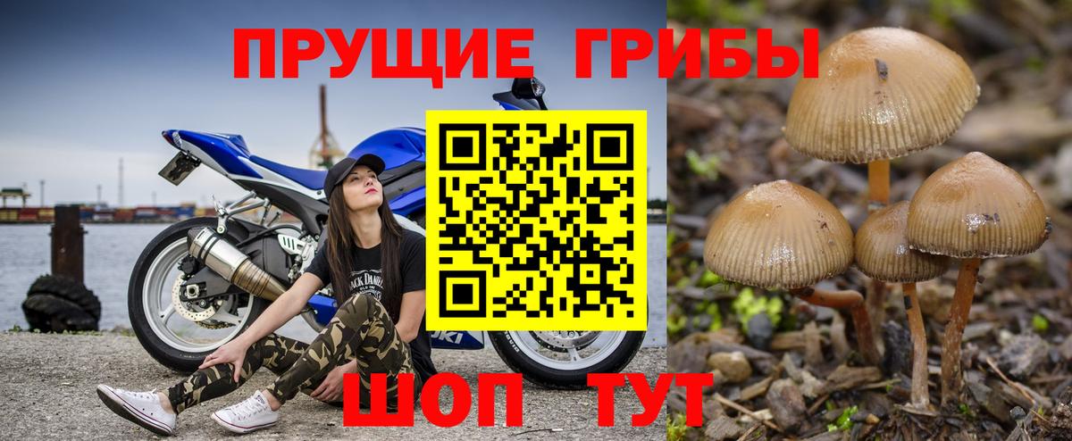 Трёхгорный  Псилоцибиновые грибы прущие грибы  Вход с VPN 